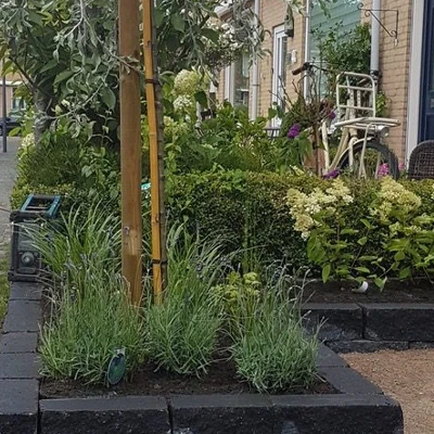 grind en klinkerbestrating achtertuin