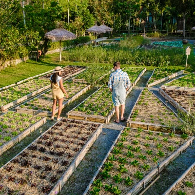 grind en klinkerbestrating achtertuin